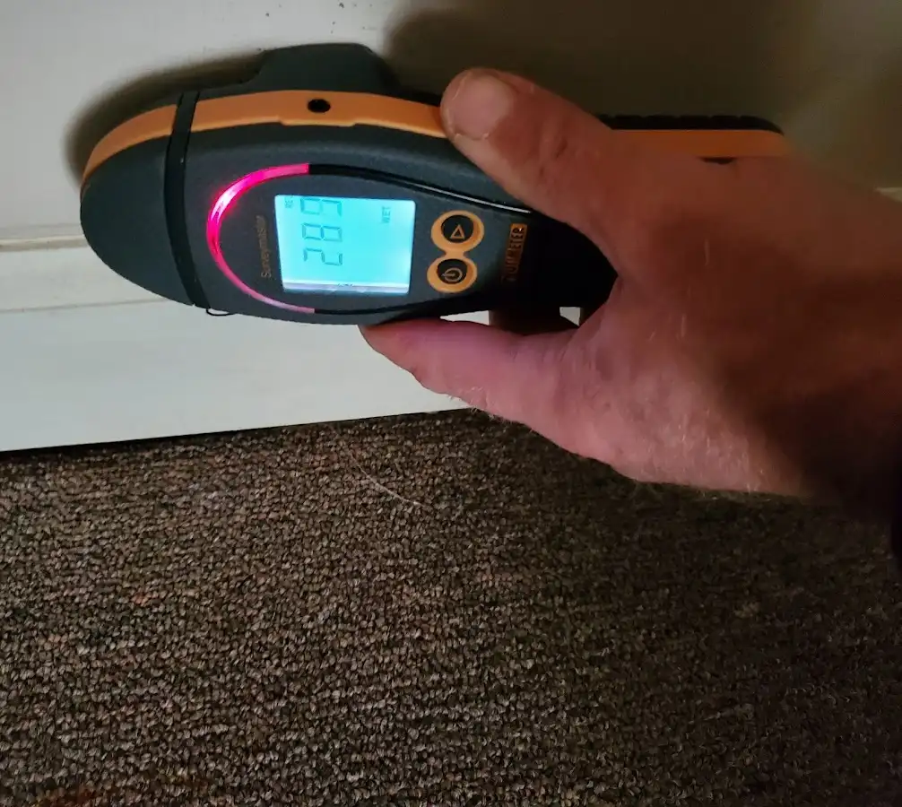 Moisture detection at baseboard during Mold Inspection & Testing in West Columbia